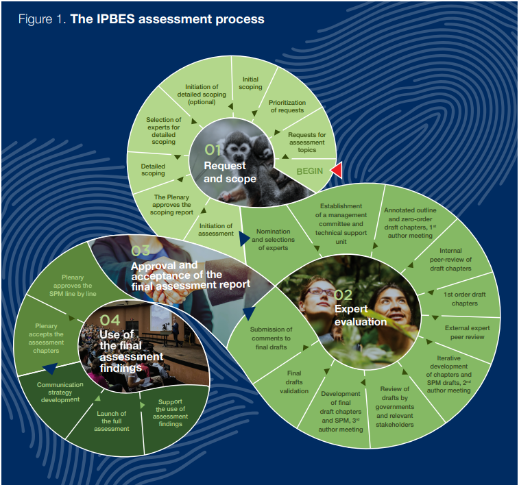 IPBES assessment process